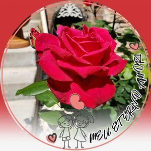 Meet your Posher, Art